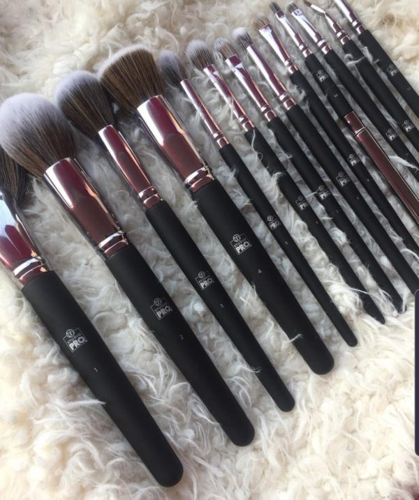 13 Pcs Professional Makeup Brushes